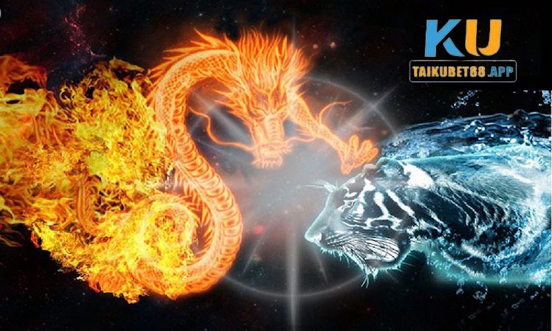 Bí quyết chơi Dragon Tiger luôn thắng